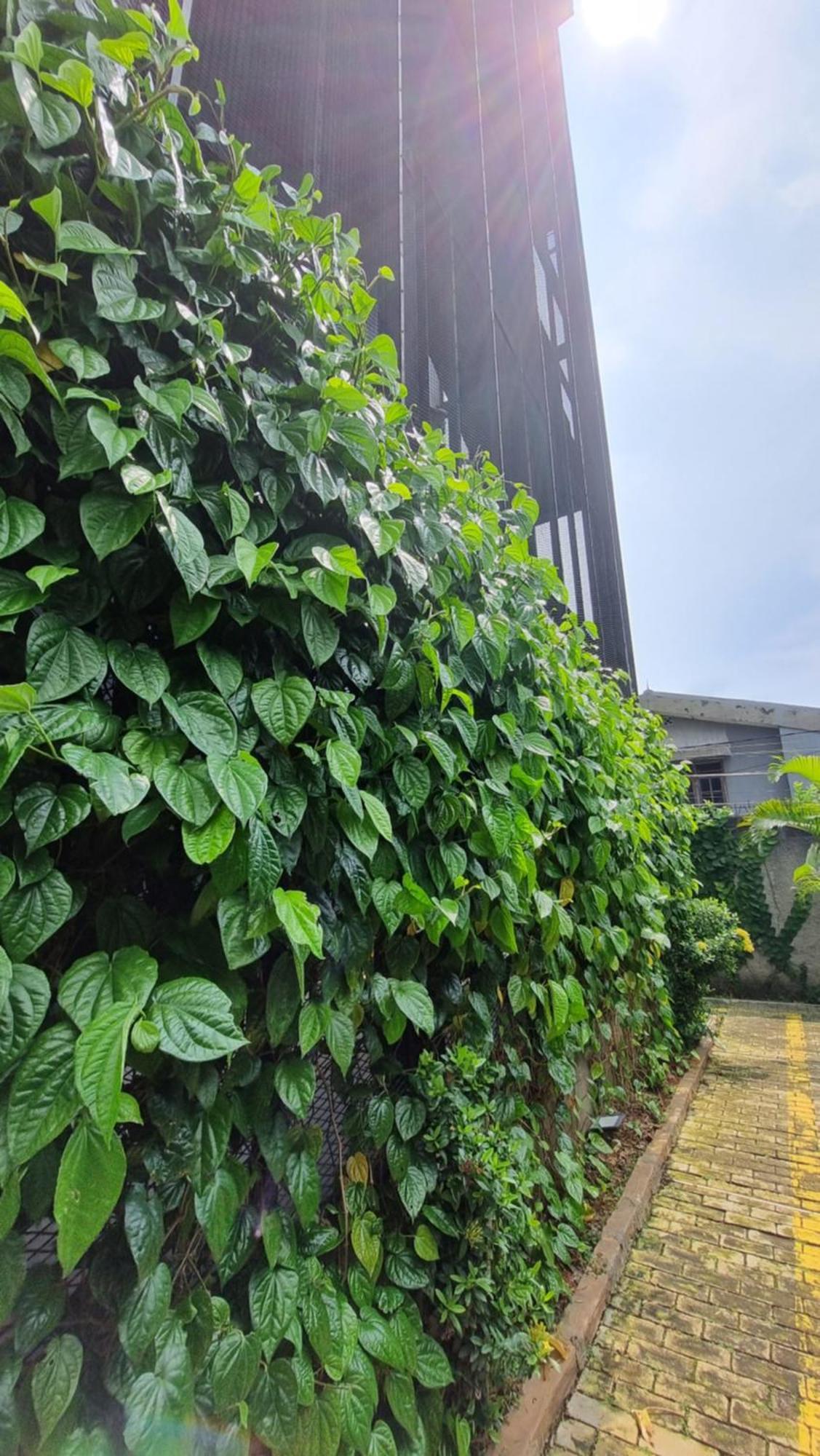 Guest House 555 Nki South Tangerang Exteriér fotografie